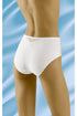Panties model 181998